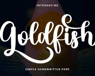 Goldfish Typeface font