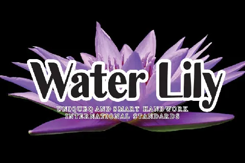 Water Lily Display font