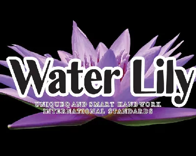 Water Lily Display font