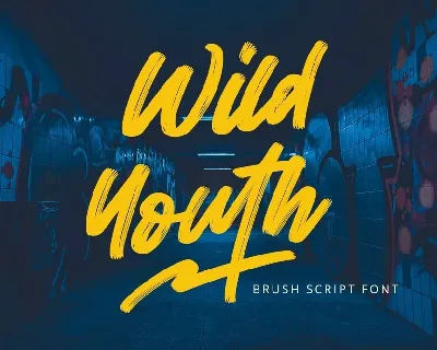 Wild Youth font