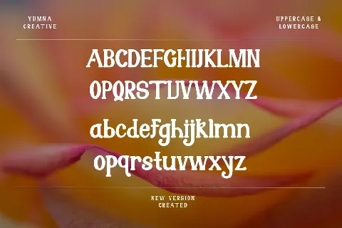 Novaith font