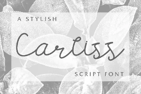 Carllis Script font