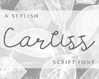 Carllis Script font