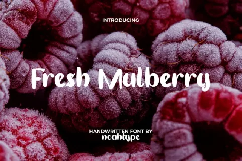 Fresh Mulberry font