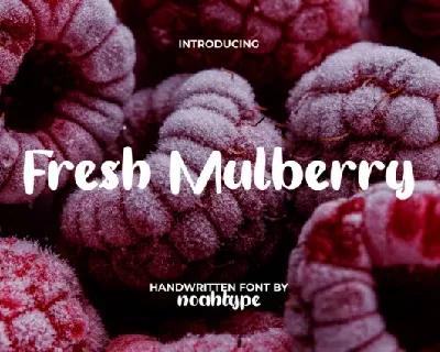 Fresh Mulberry font