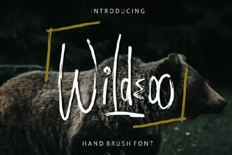 Wildeoo Brush font