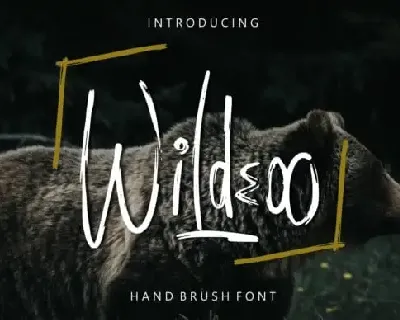 Wildeoo Brush font