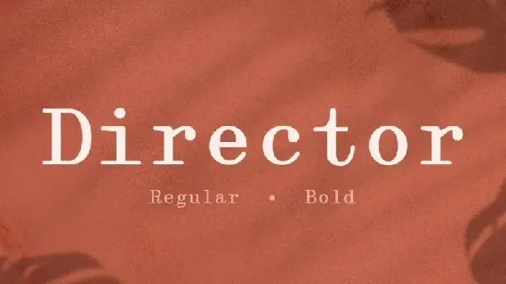 Director Serif font