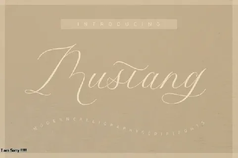 Mustang Script Typeface font