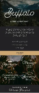 Buffalo Free font