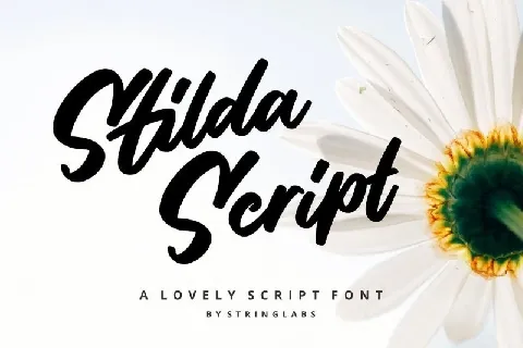 Stilda Lovely Script font