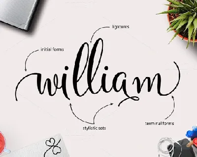 Yulinda Script font