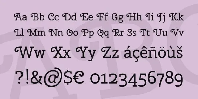 Cherry Swash Family font