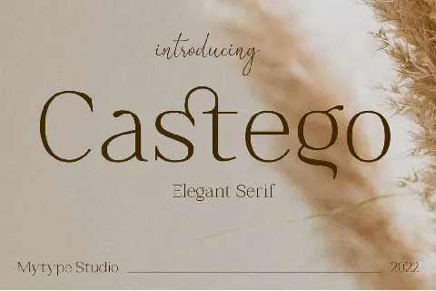 Castego font