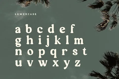 Quinnie font