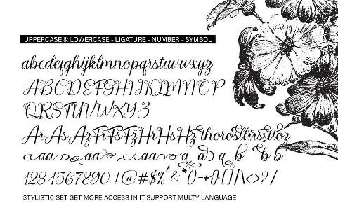 Bailies Script font