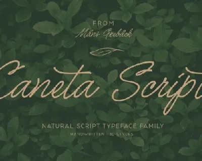 Caneta Script font