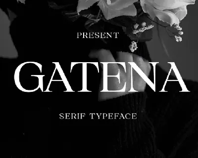 Gatena font