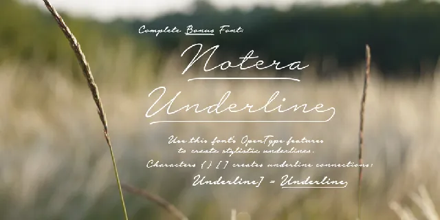 Notera 2 PERSONAL USE ONLY font