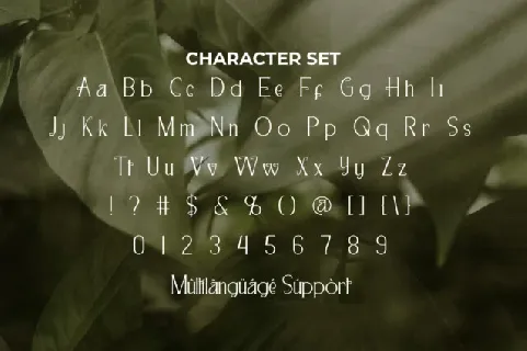 Casaba Melon font