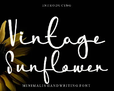 Vintage Sunflower font