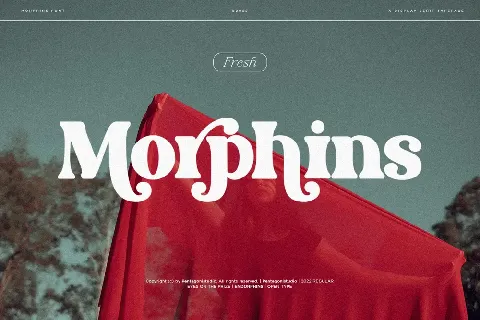 Morphins Demo font