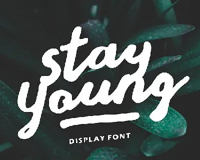 Stay Young Script font