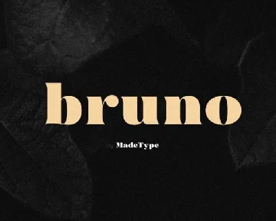 MADE Bruno Serif font