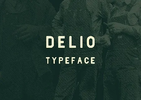 Delio Typeface font