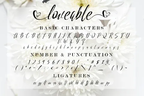 loveable font