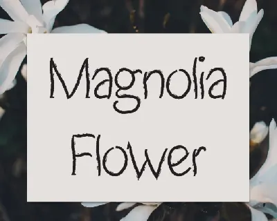 Magnolia Flower Script font