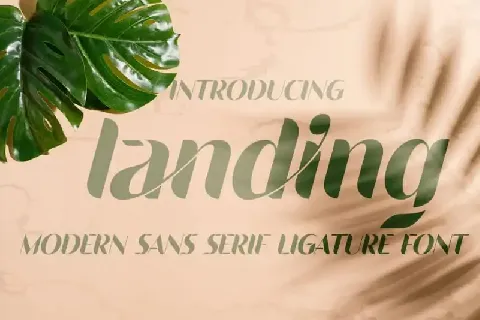 Landing Sans Serif font