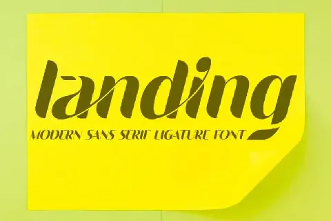 Landing Sans Serif font