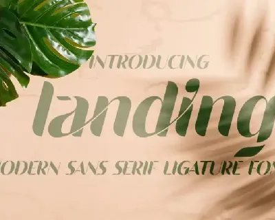 Landing Sans Serif font