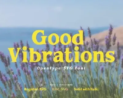 Good Vibrations Serif font