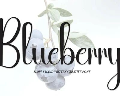 Blueberry Script Typeface font