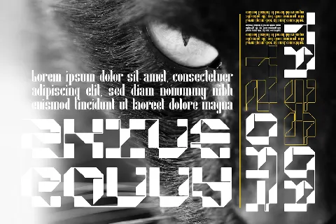 Acoprot Display Demo font