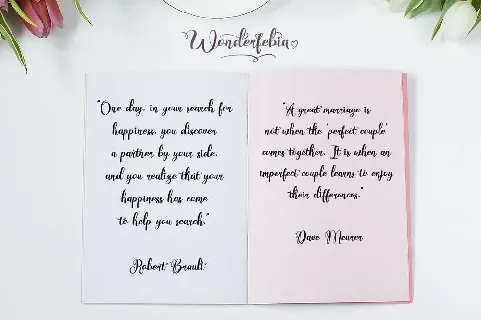 Wonderfebia font