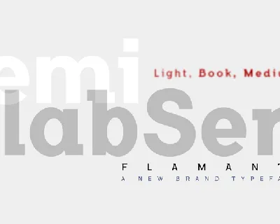 Flamante SemiSlab font