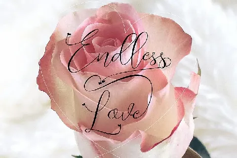 Endless Script font