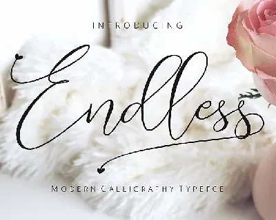 Endless Script font