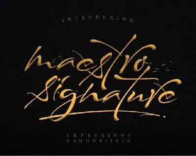 Maestro Signature font