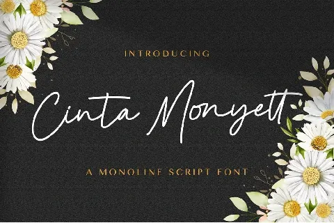 Cinta Monyett font