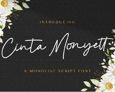 Cinta Monyett font