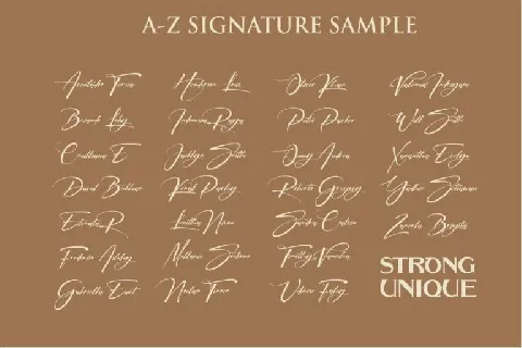 Signatrue Elegant Signature font