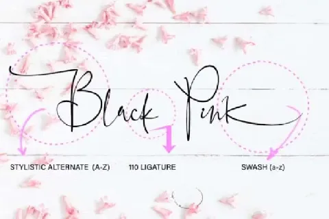 Black Pink Signature Free font