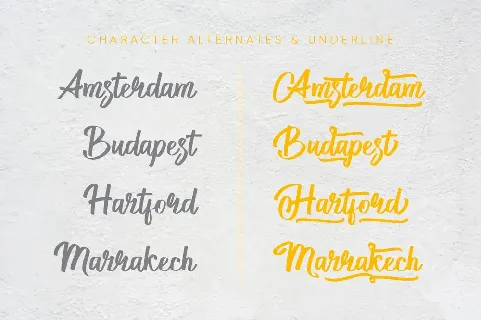 Stuttgart Script font