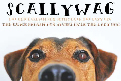 Scallywag font