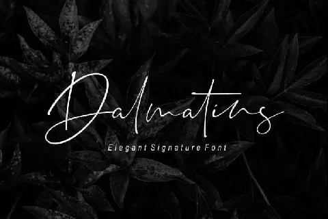 Dalmatins Signature Free font