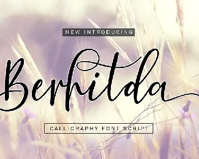 Berhilda Script font